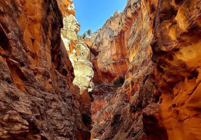 モーテル Kanab Suites