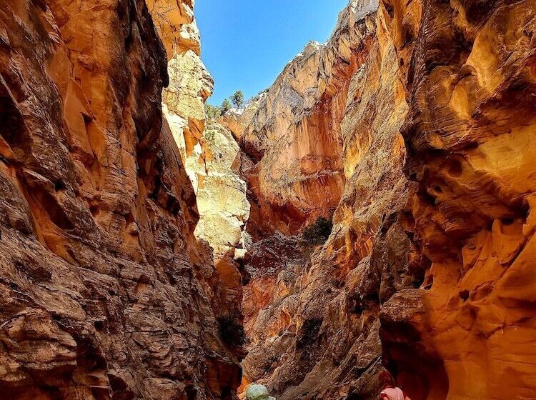 モーテル Kanab Suites