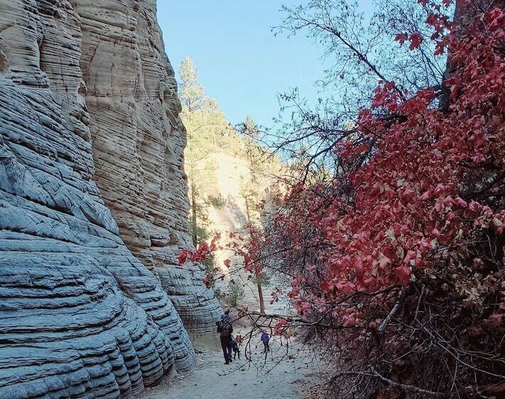 モーテル Kanab Suites