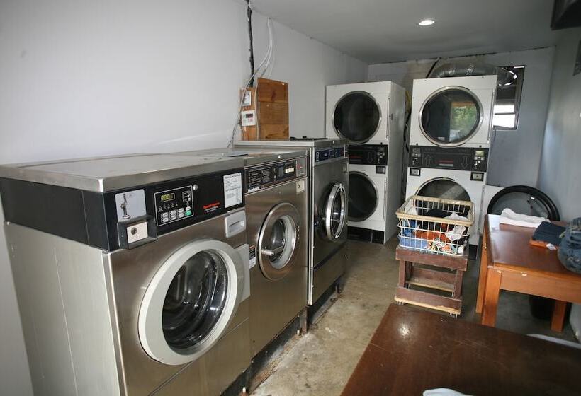 汽车旅馆  Royal Inn