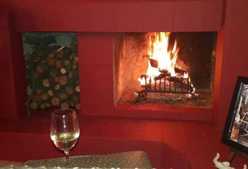 ペンション Aloe Tree Guest House