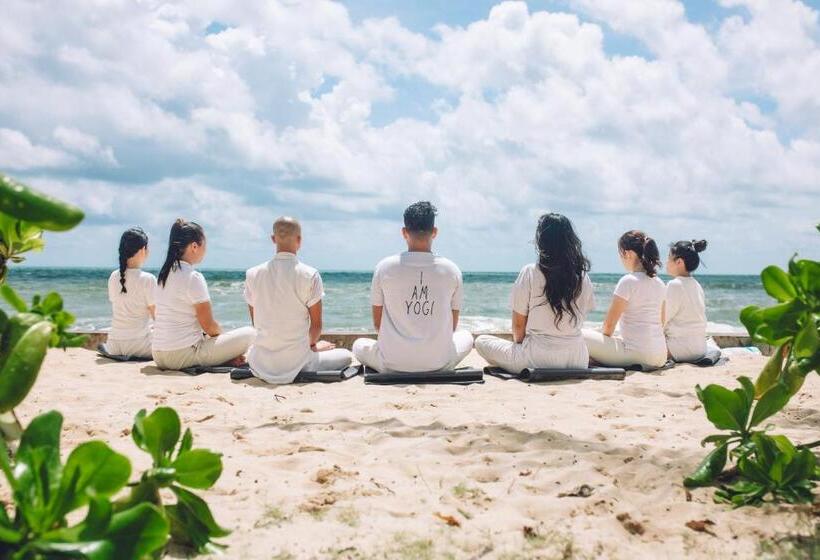 استراحتگاه An Nhien Retreat