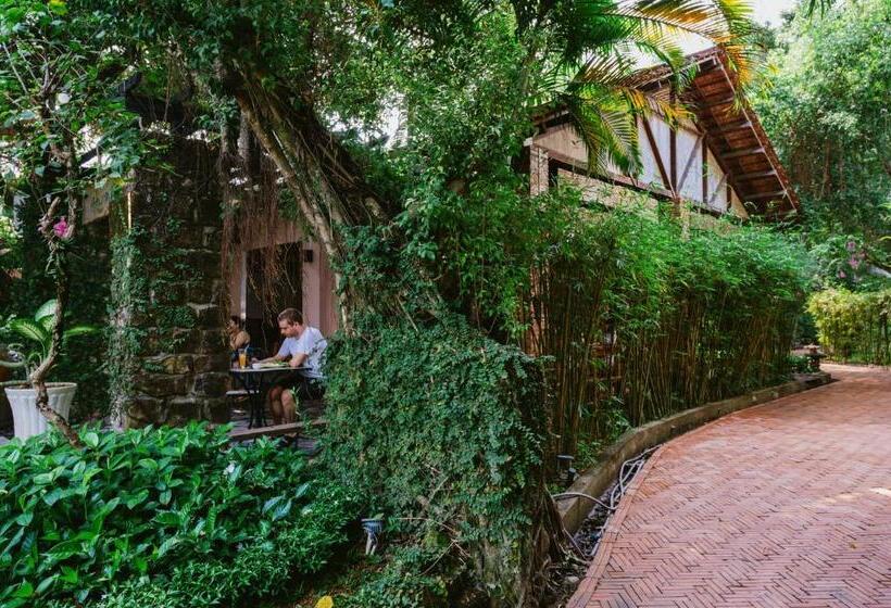 استراحتگاه An Nhien Retreat