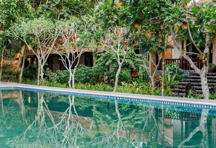 استراحتگاه An Nhien Retreat