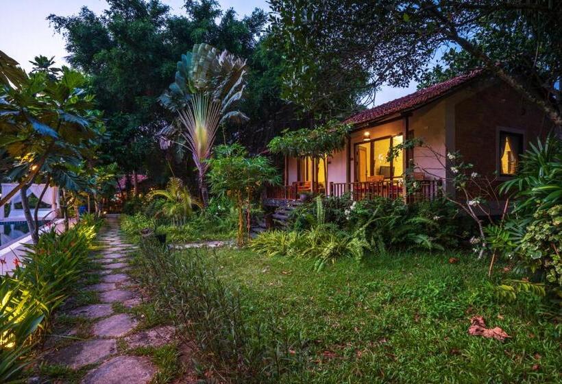 استراحتگاه An Nhien Retreat