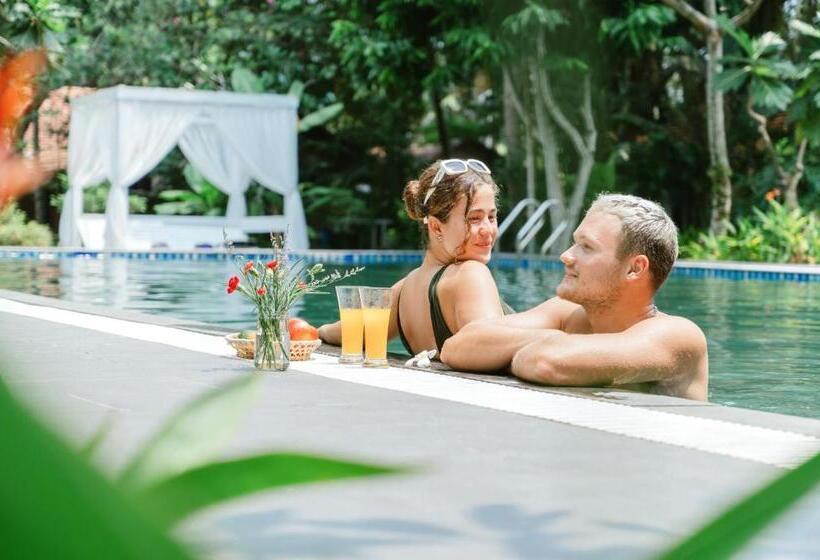 استراحتگاه An Nhien Retreat