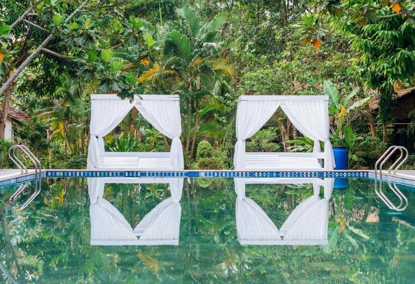 استراحتگاه An Nhien Retreat