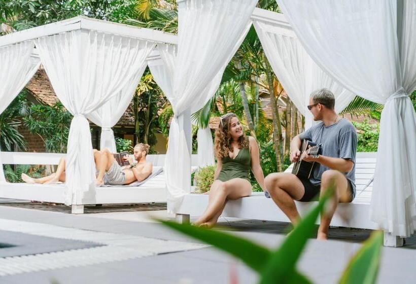 استراحتگاه An Nhien Retreat