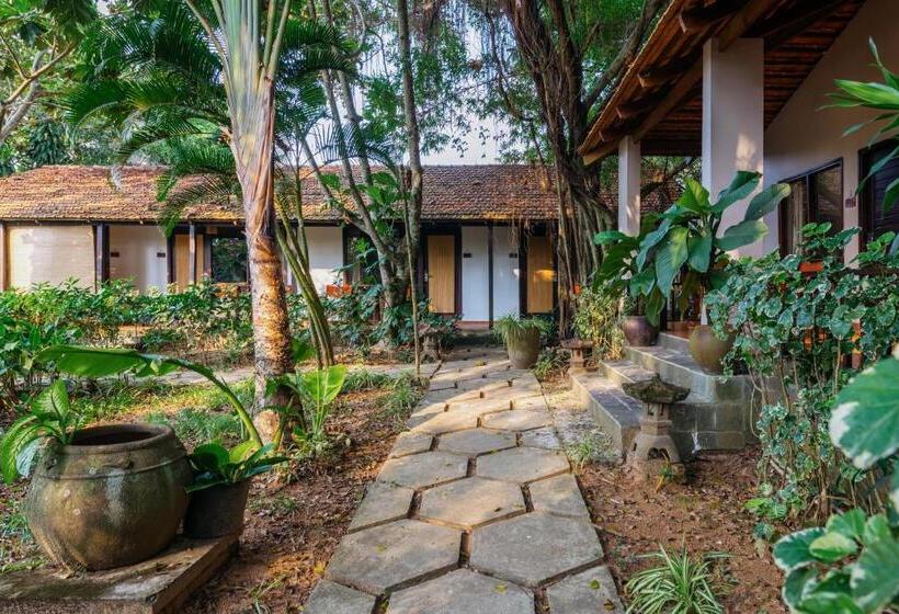 استراحتگاه An Nhien Retreat