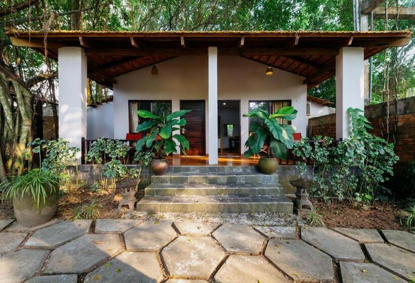 استراحتگاه An Nhien Retreat