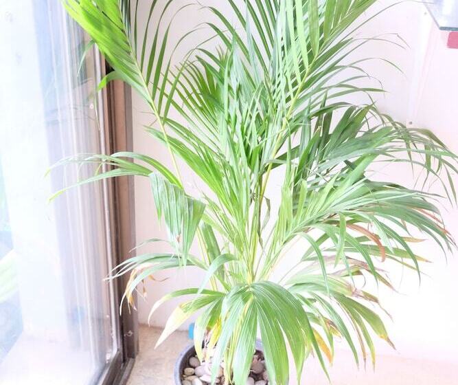 فندق صغير Krodyle Mindfulness House