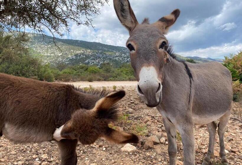 צימר Al Vicoletto   Genuine Hospitality