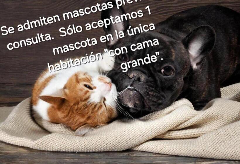 مبيت وإفطار Casa Josa