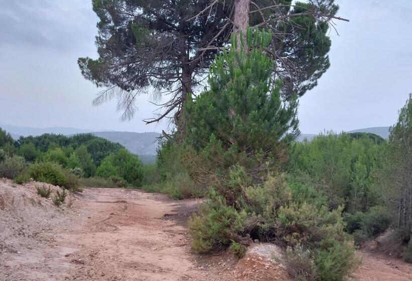 צימר Casa Josa