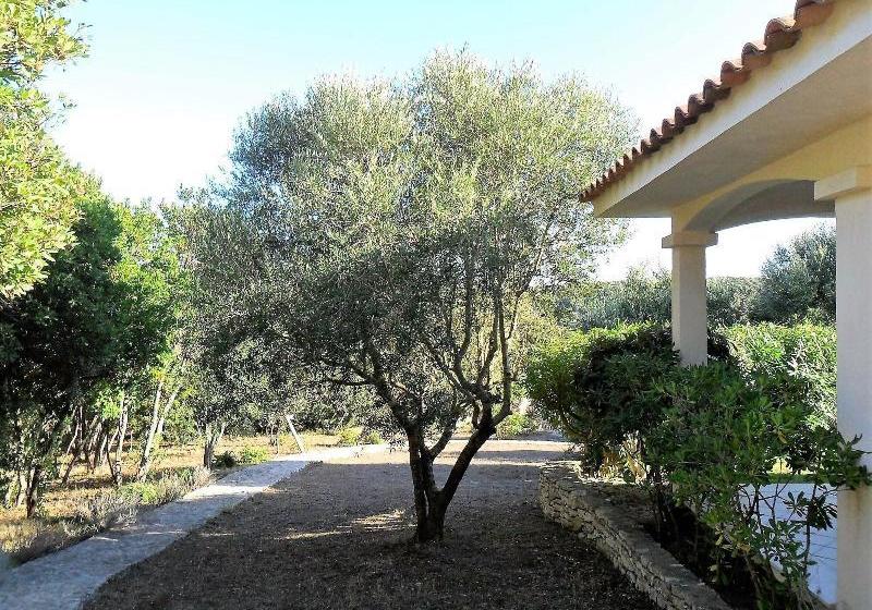 ベッドアンドブレックファースト Casa Martini