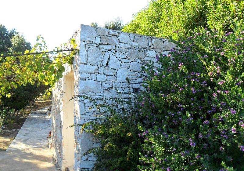 ベッドアンドブレックファースト Casa Martini