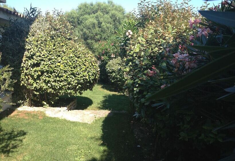 ベッドアンドブレックファースト Casa Martini