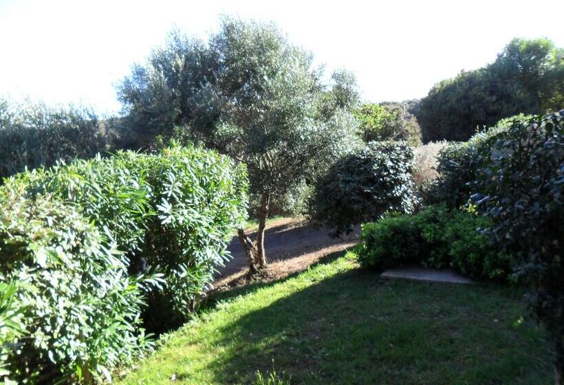 ベッドアンドブレックファースト Casa Martini