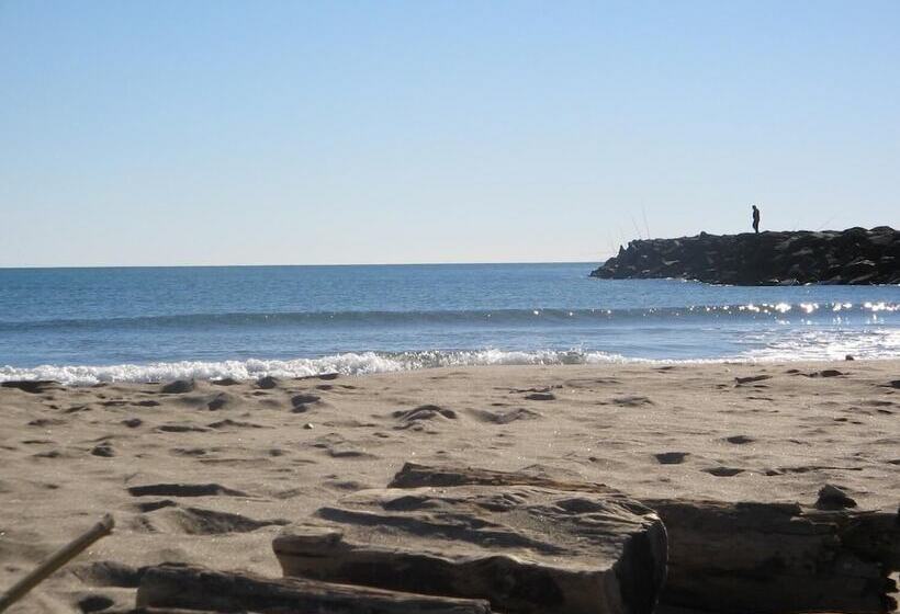 Bed and Breakfast Chambres D Hotes Beziers