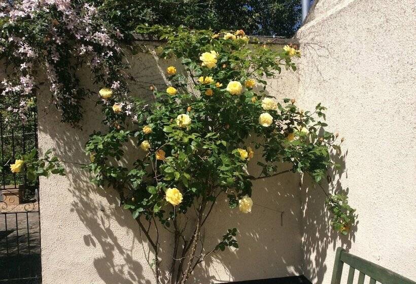 مبيت وإفطار Delamore House