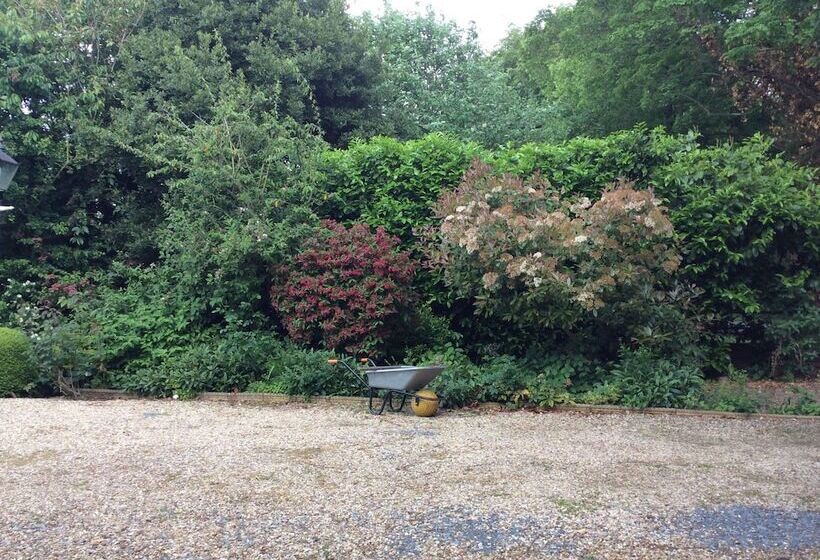 مبيت وإفطار Delamore House