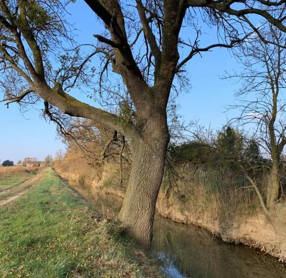 민박 Le Jardin De Lacoste