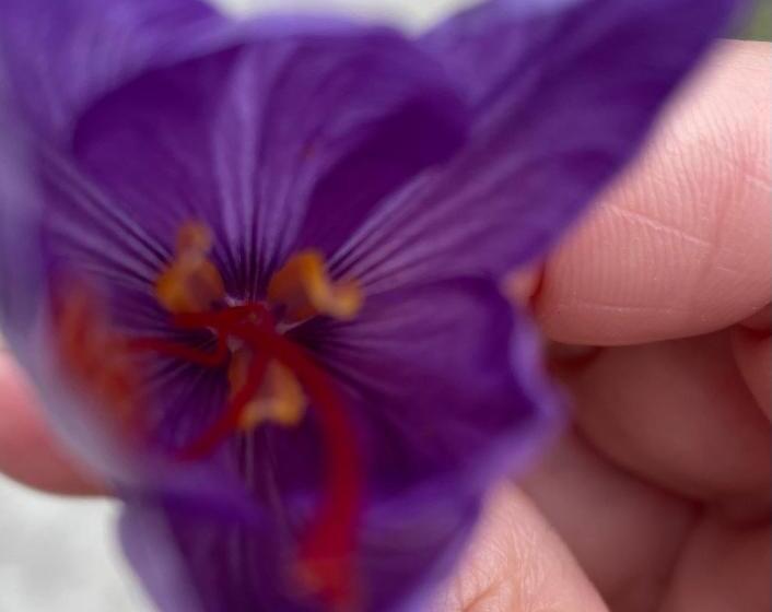 민박 Le Jardin De Lacoste