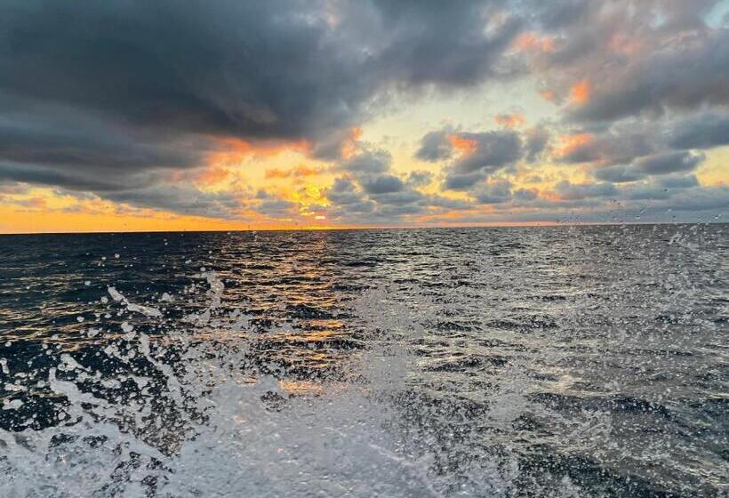 민박 Le Jardin De Lacoste