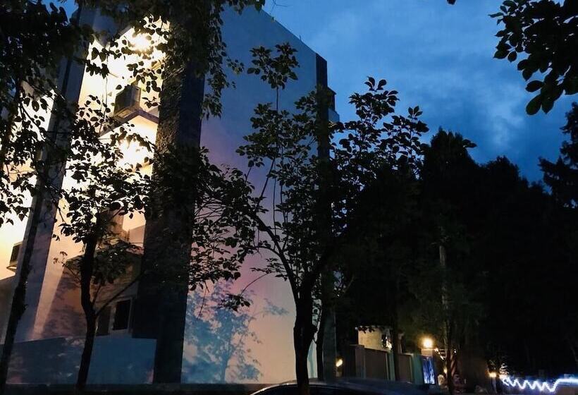 تختخواب و صبحانه Xitou Bi Xue Shan Lin Homestay