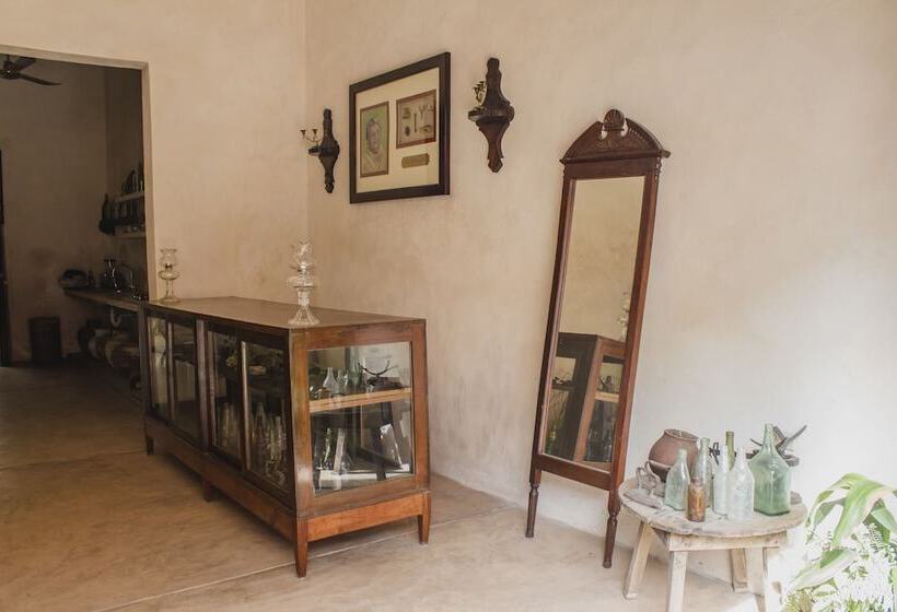 ユースホステル Mamachá Natural Residence