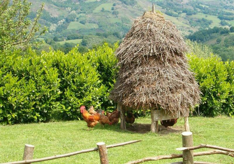 Casa Rural Zigako Etxezuria