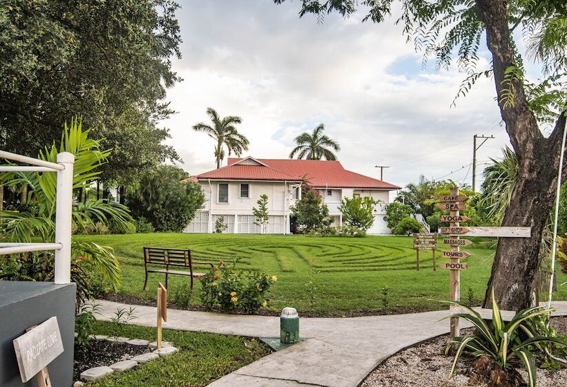 Harbour View Boutique Hotel & Wellness Retreat