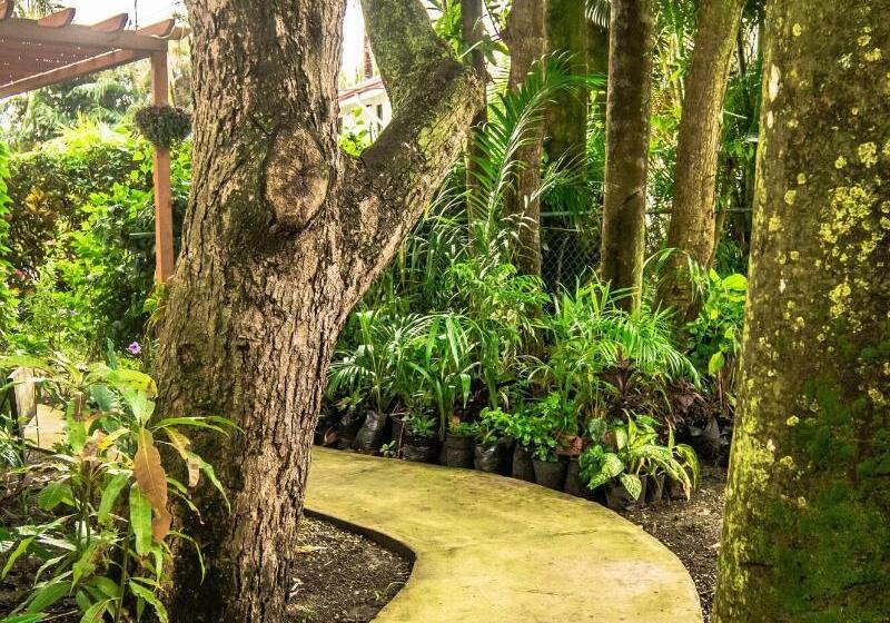 Harbour View Boutique Hotel & Wellness Retreat