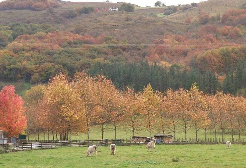 مسافرخانه Posada Elbete