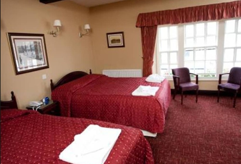 簡易ホテル Swan And Royal