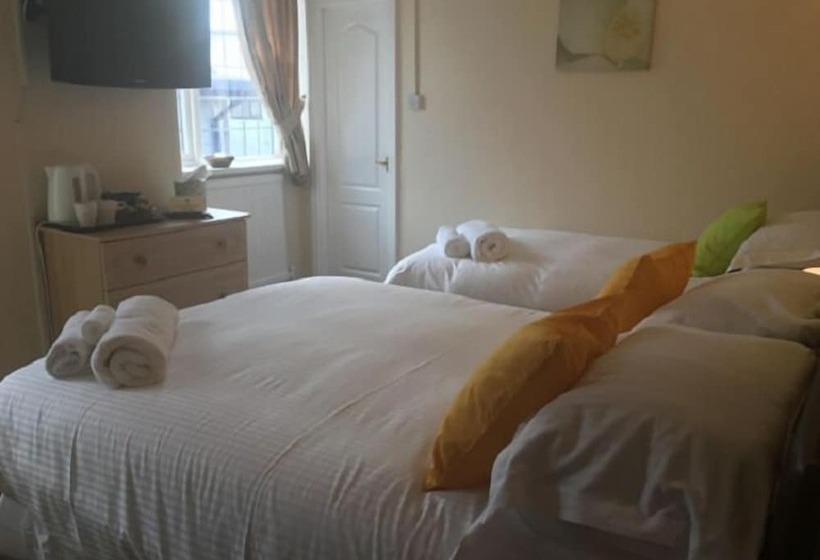 فندق فئة نجمة واحدة The Swan