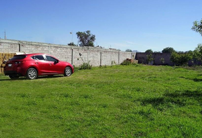 호텔 Boutique Tonalli