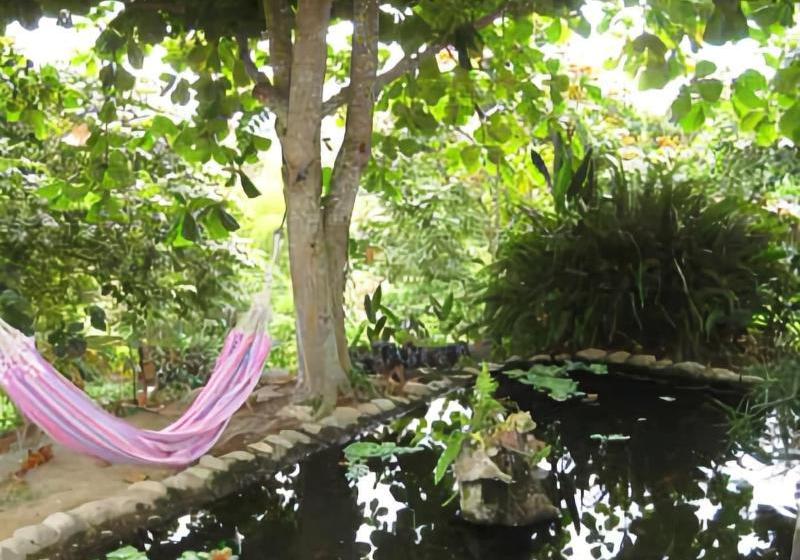 ホテル Finca  Sol Y Luna