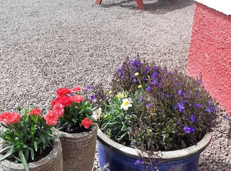 בית מלון כפרי Herrislea House