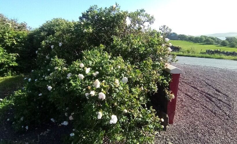 בית מלון כפרי Herrislea House