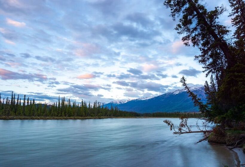 فندق Pine Bungalows