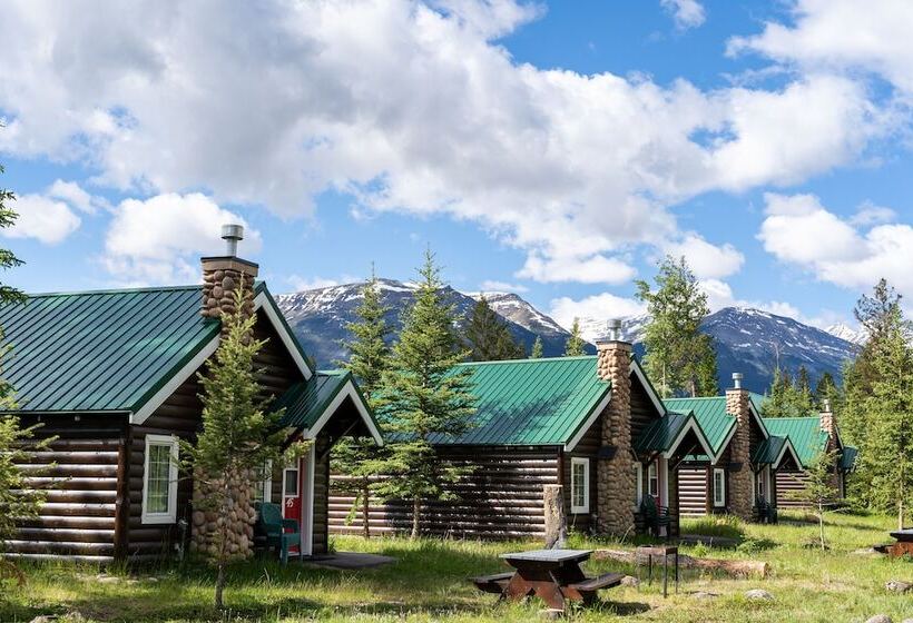 فندق Pine Bungalows