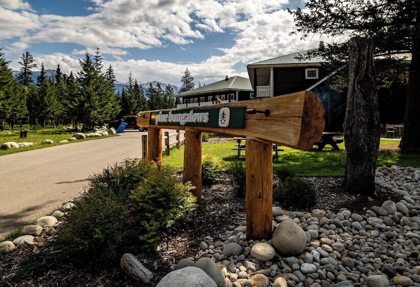 فندق Pine Bungalows