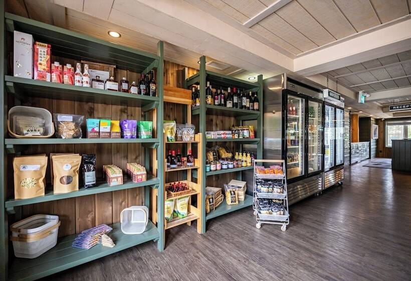 فندق Pine Bungalows