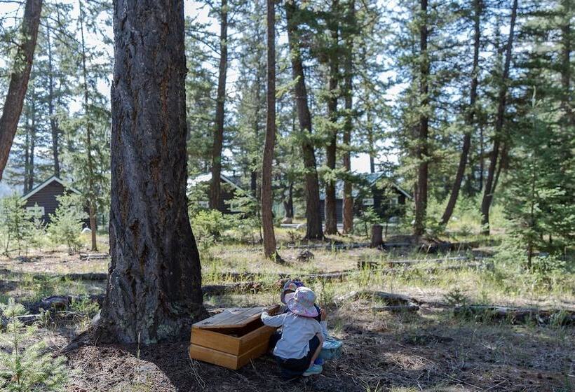 فندق Pine Bungalows