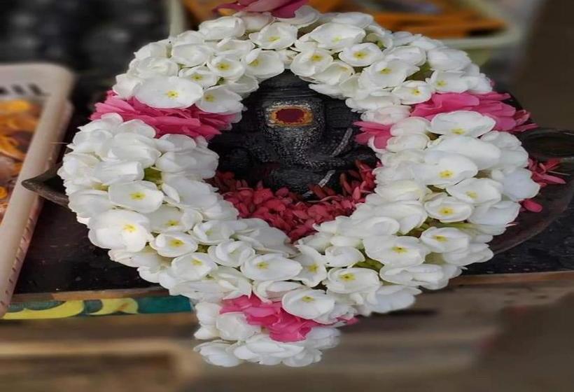 בית מלון כפרי Pk Suites Inn