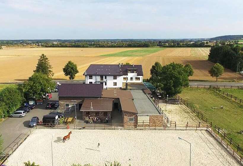 호텔 Restaurant Rotes Einhorn Düren  Superior