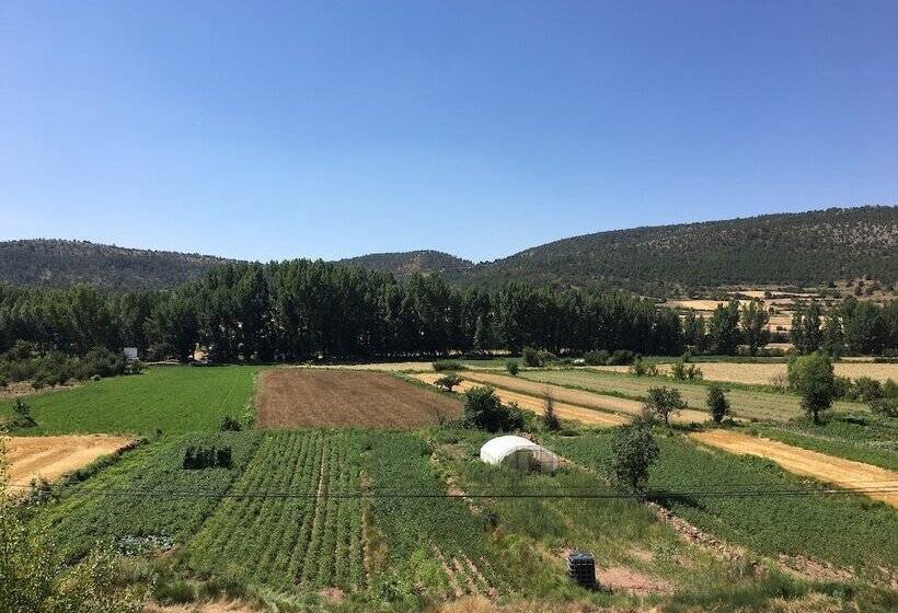 בית מלון כפרי Restaurante Torres De Albarracín