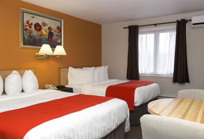 Отель Robin Hood