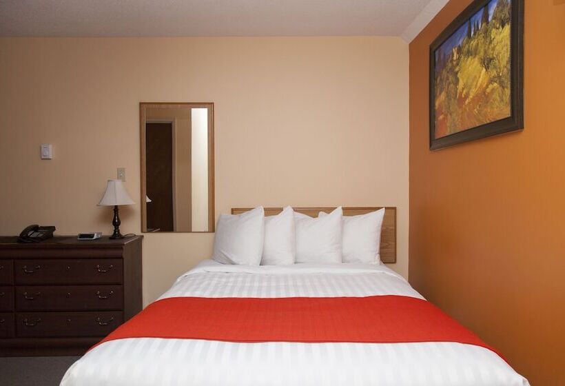 Отель Robin Hood